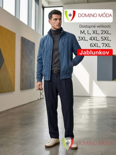 Men's jacket with stand-up collar